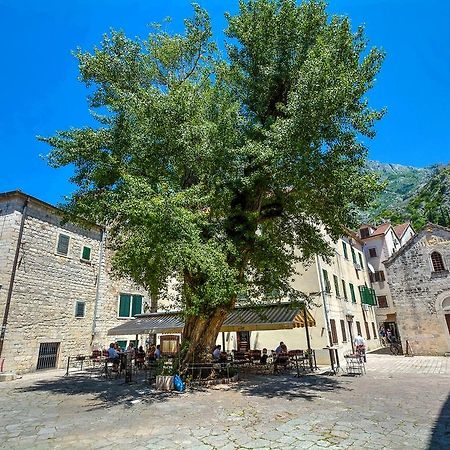 Tajami Apartments Kotor Zewnętrze zdjęcie