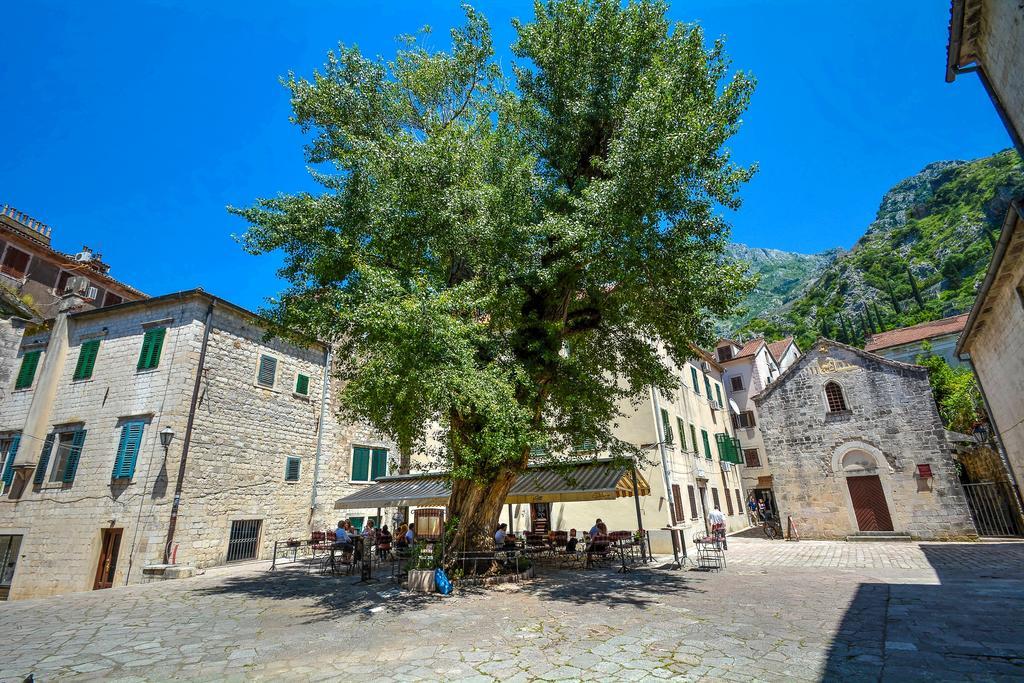 Tajami Apartments Kotor Zewnętrze zdjęcie