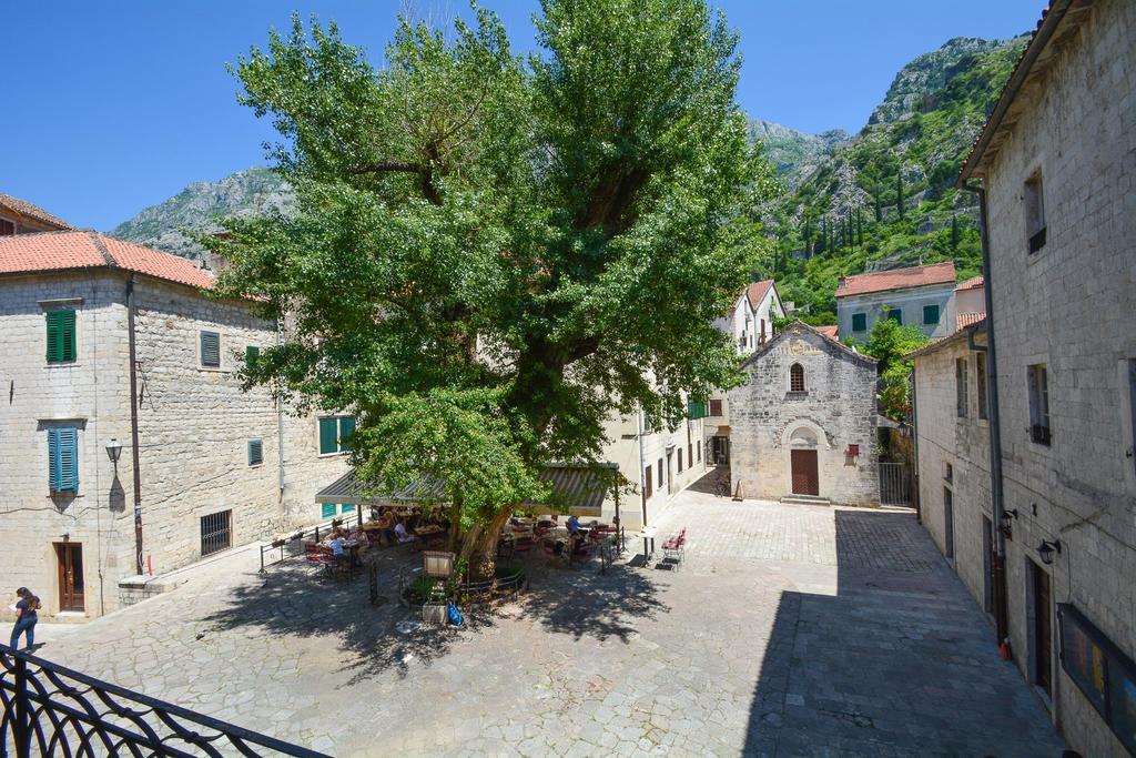 Tajami Apartments Kotor Zewnętrze zdjęcie