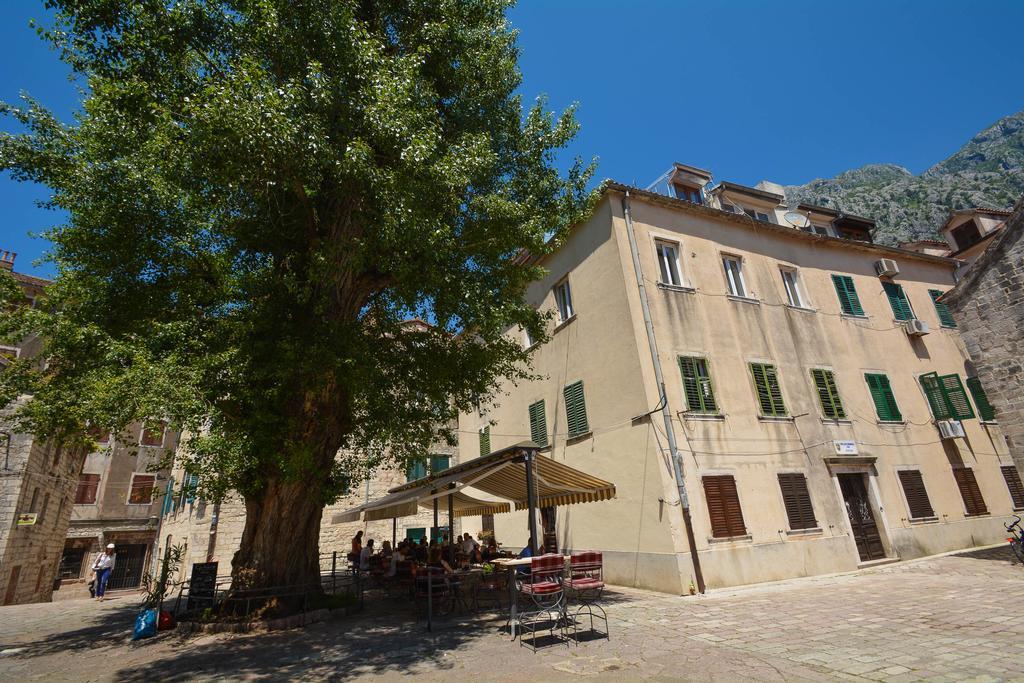 Tajami Apartments Kotor Zewnętrze zdjęcie